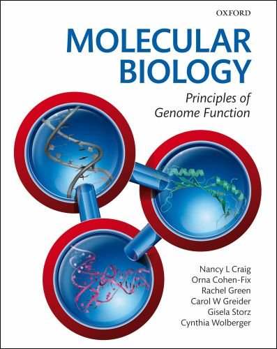 Molecular Biology Principles Of Genome Function 1st Edition Nancy Craig