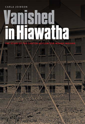 Vanished In Hiawatha Carla Joinson Joinson Carla