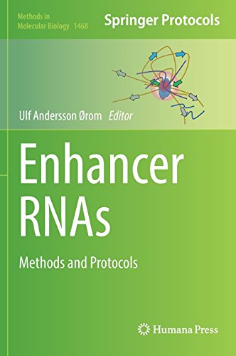 Enhancer Rnas Methods And Protocols Ulf Andersson ørom