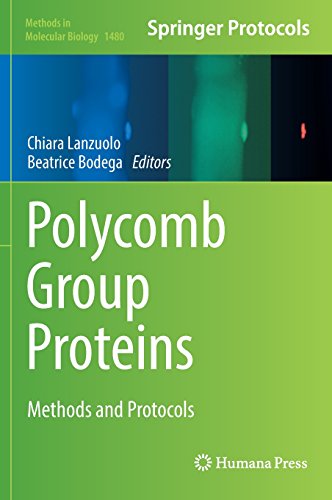 Polycomb Group Proteins Methods And Protocols Chiara Lanzuolo
