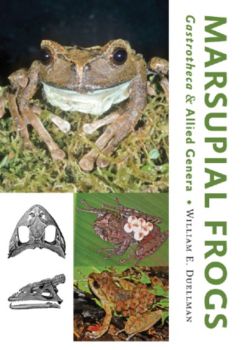Marsupial Frogs Gastrotheca And Allied Genera William E Duellman
