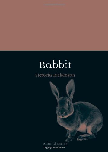 Rabbit Victoria Dickenson