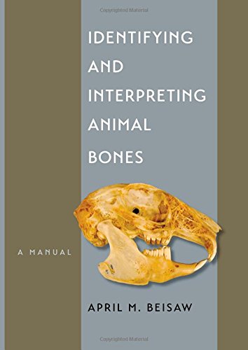 Identifying And Interpreting Animal Bones A Manual April M Beisaw