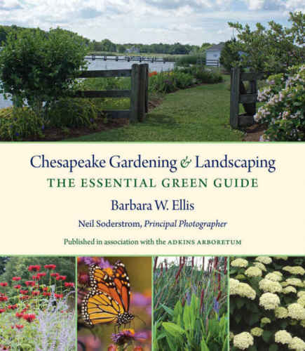 Chesapeake Gardening And Landscaping The Essential Green Guide Barbara W Ellis