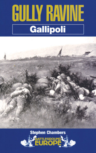 Gully Ravine Gallipoli Stephen Chambers