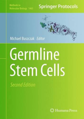 Germline Stem Cells 2nd Edition Michael Buszczak Ed