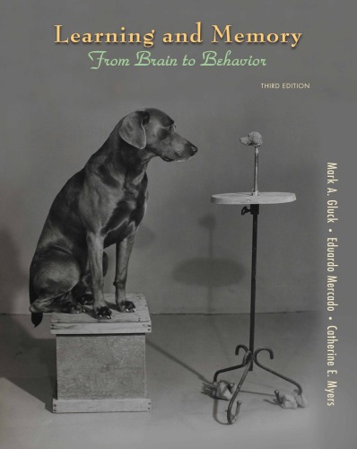 Learning And Memory From Brain To Behavior 3rd Mark A Gluck