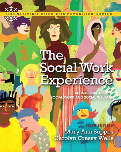 The Social Work Experience An Introduction To Social Work And Social Welfare 6th Edition Mary Ann Suppes