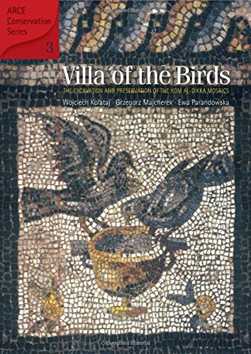 Villa Of The Birds The Excavation And Preservation Of The Kom Aldikka Mosaics 1st Edition Wojcech Kolataj