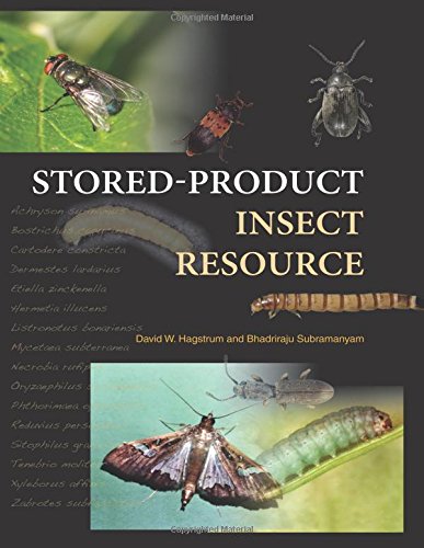 Storedproduct Insect Resource David W Hagstrum Bhadriraju Subramanyam