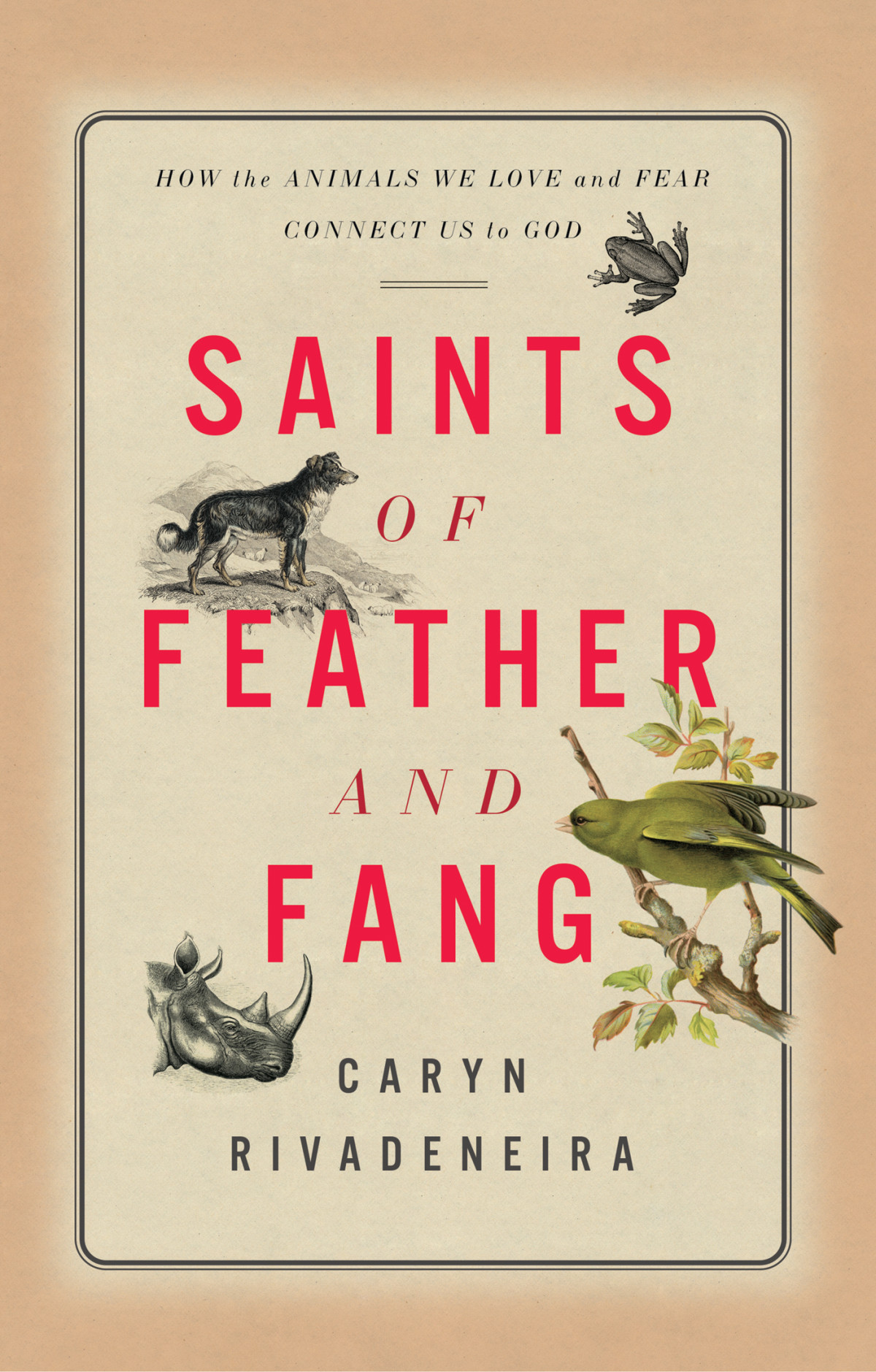 Saints Of Feather And Fang Caryn Rivadeneira
