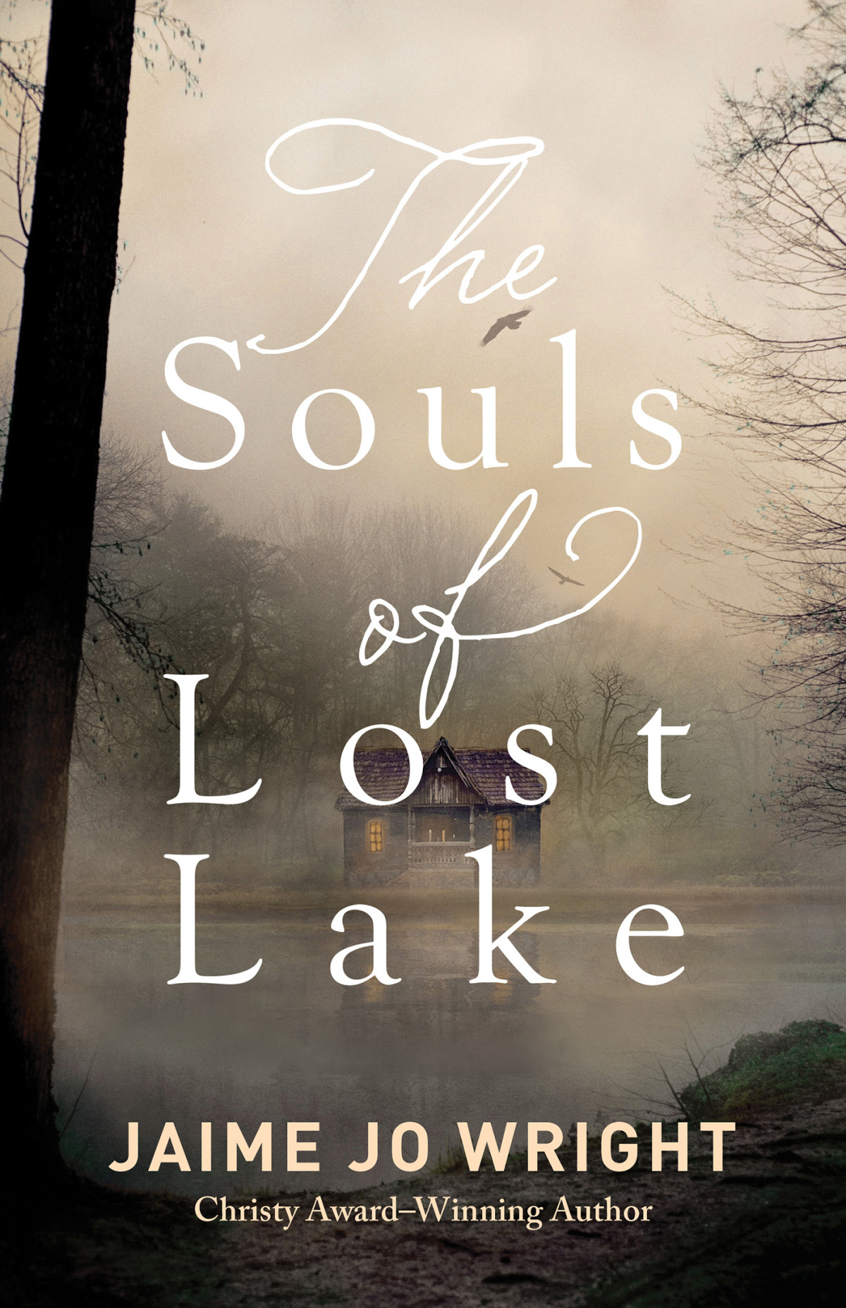 The Souls Of Lost Lake Jaime Jo Wright