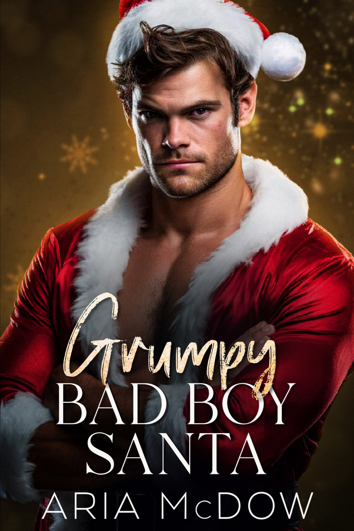 Grumpy Bad Boy Santa 1st Edition Aria Mcdow