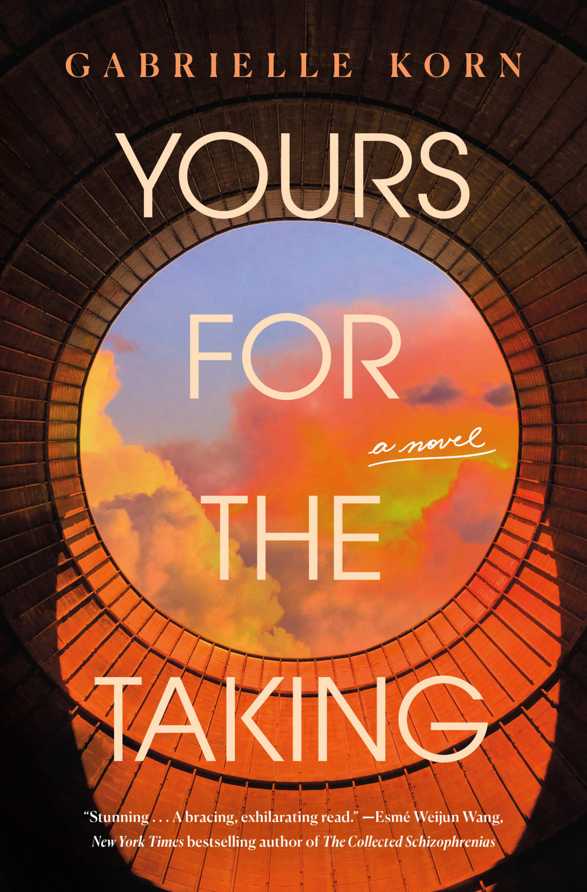Yours For The Taking A Novel 1st Edition Gabrielle Korn