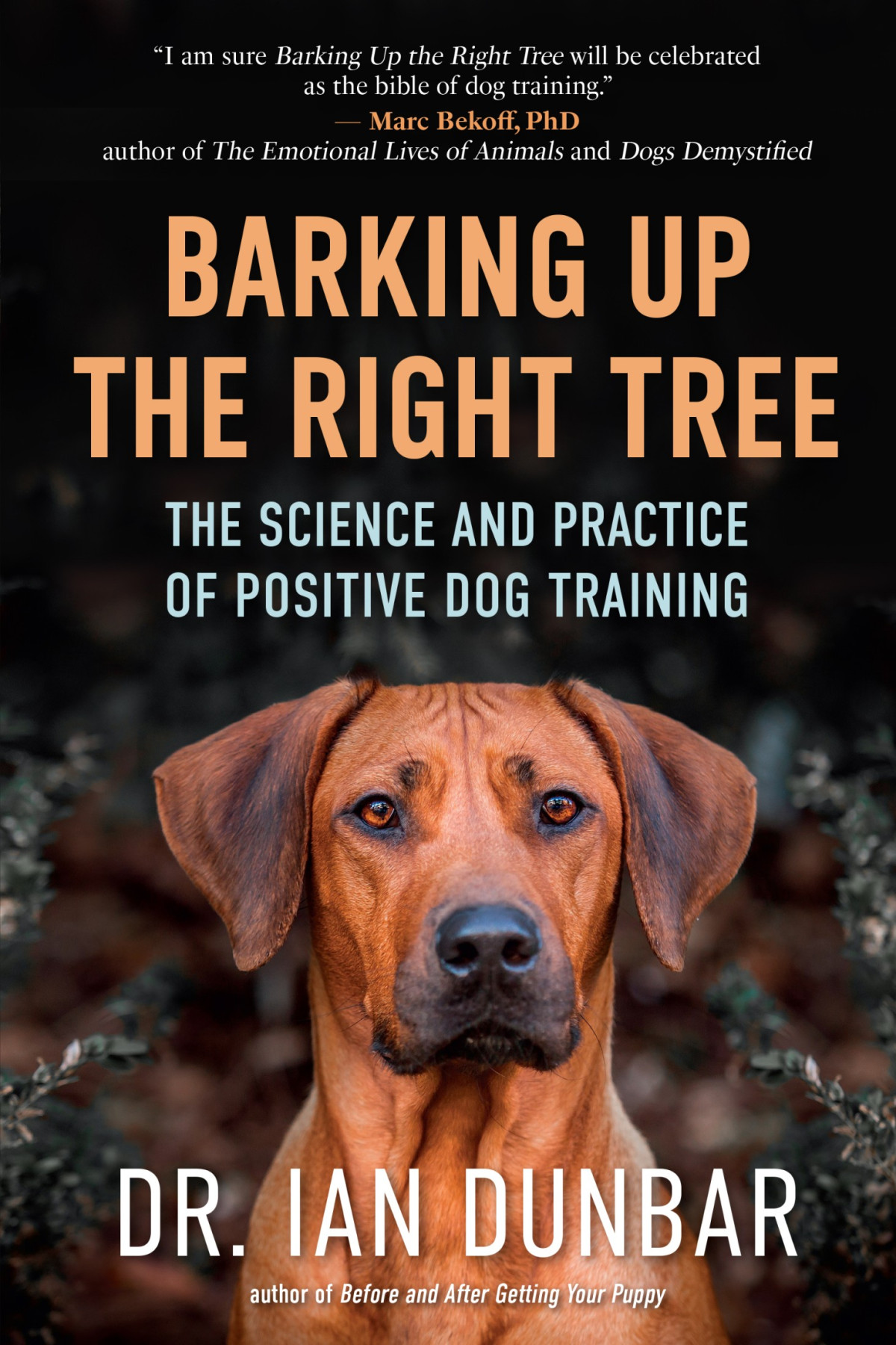 Barking Up The Right Tree The Science And Practice Of Positive Dog Training Ian Dunbar