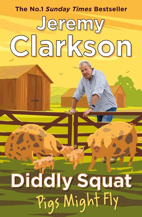 Diddly Squat Pigs Might Fly Jeremy Clarkson