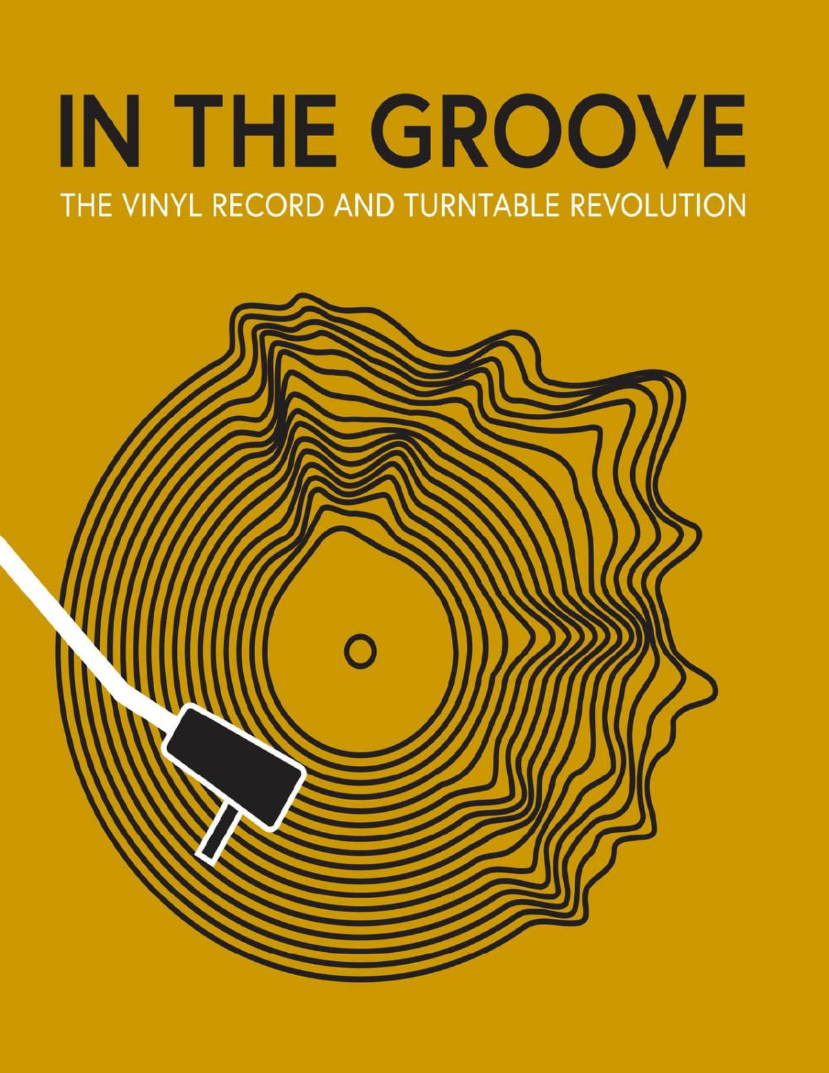 In The Groove The Vinyl Record And Turntable Revolution Gillian G Gaar Martin Popoff Richie Unterberger Matt Anniss Ken Micallef