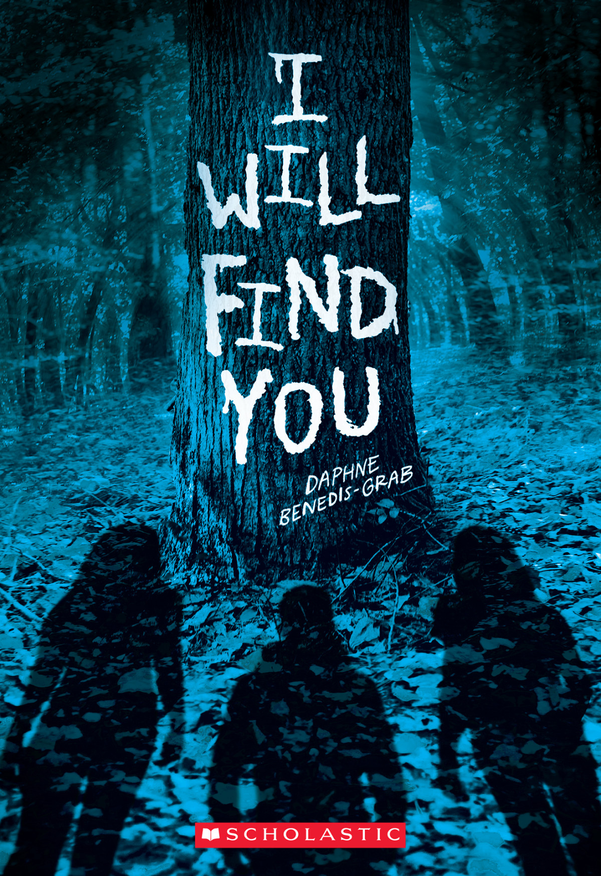 I Will Find You A Secrets Lies Novel Daphne Benedisgrab
