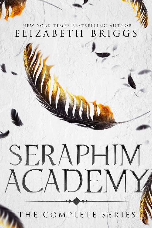 Seraphim Academy The Complete Series Elizabeth Briggs