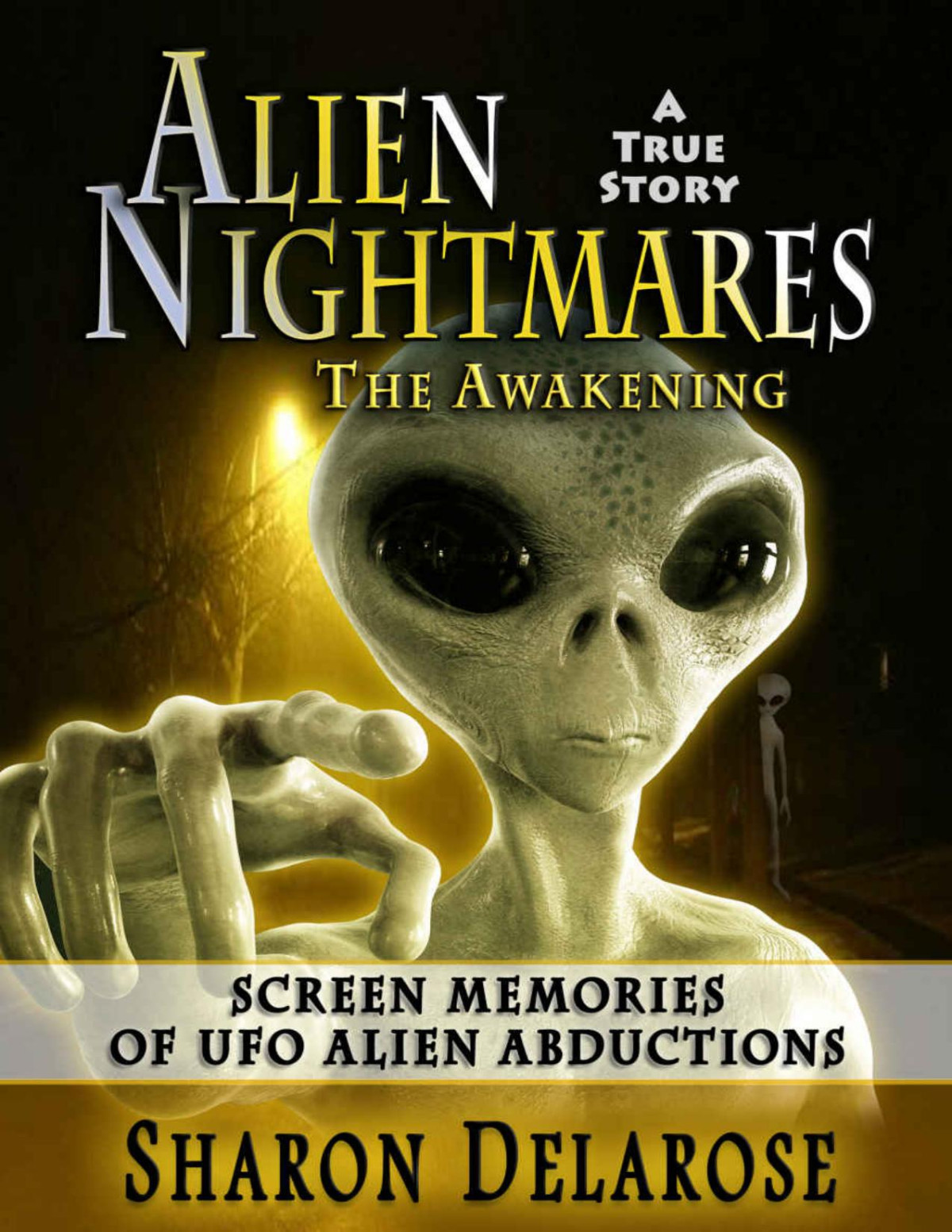 Alien Nightmares Screen Memories Of Ufo Alien Abductions Sharon Delarose