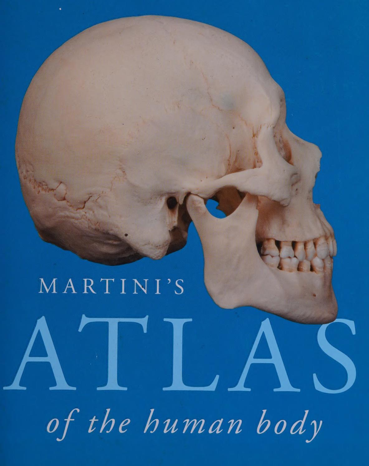 Martinis Atlas Of The Human Body Frederic H Martini