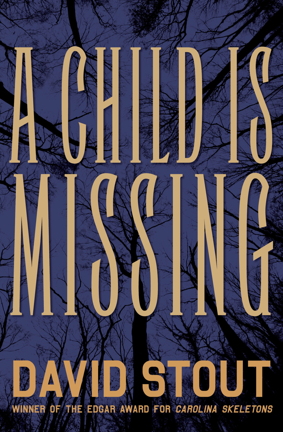 A Child Is Missing David Stout