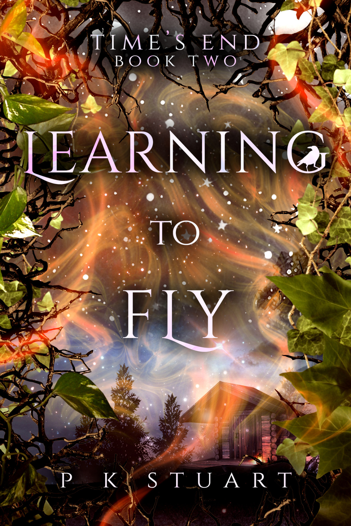 Learning To Fly Times End Book Two Stuart P K