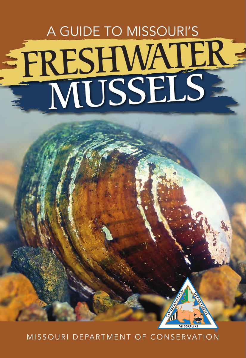 A Guide To Missouris Freshwater Mussels Stephen E Mcmurray