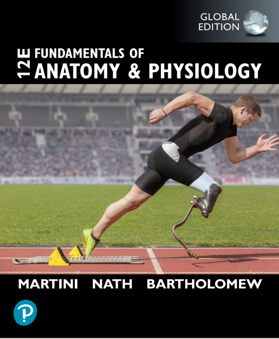 Fundamentals Of Anatomy And Physiology 12th Global Edition 12thglobal Frederic Martini