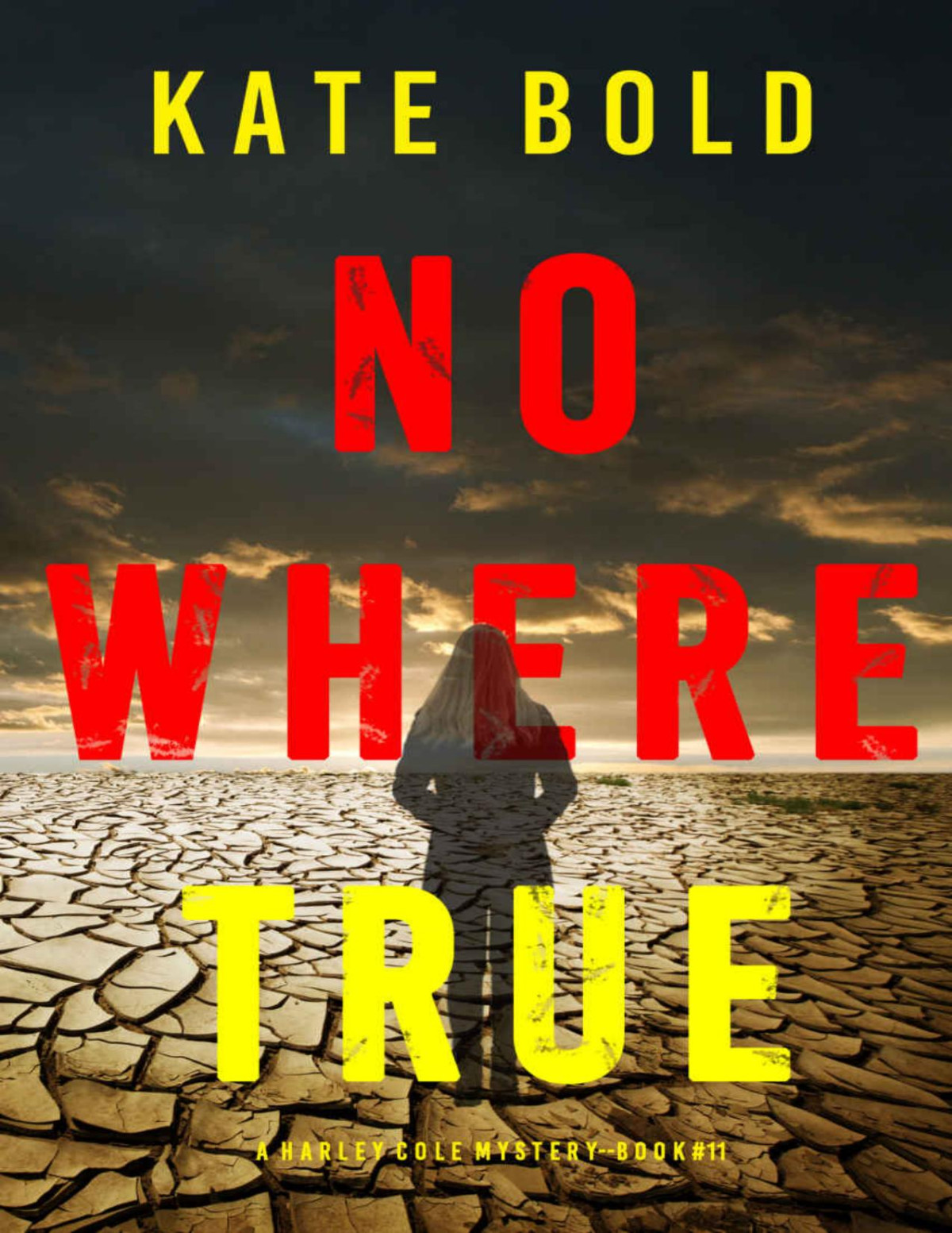 Nowhere True A Harley Cole Fbi Suspense Thrillerbook 11 Kate Bold