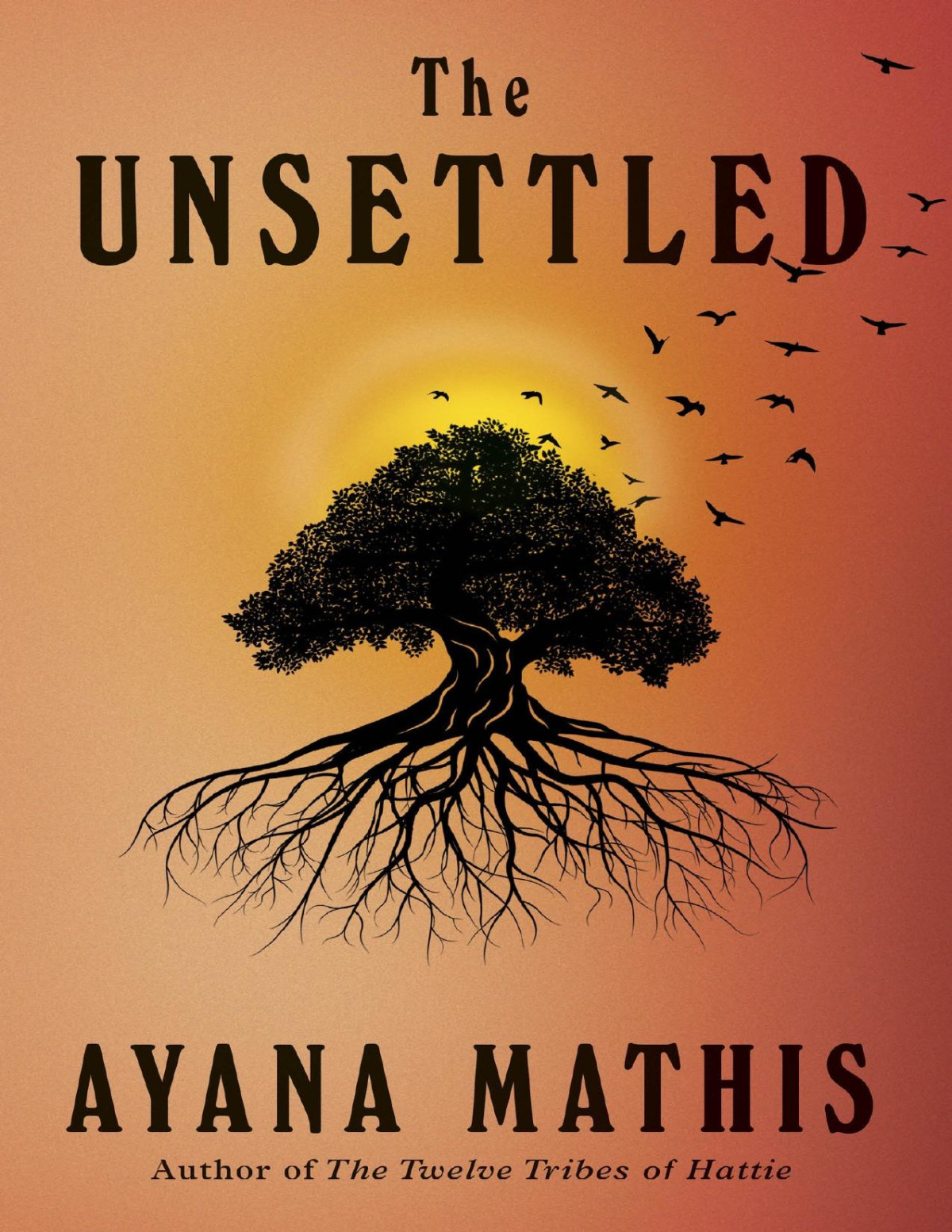 The Unsettled A Novel Ayana Mathis