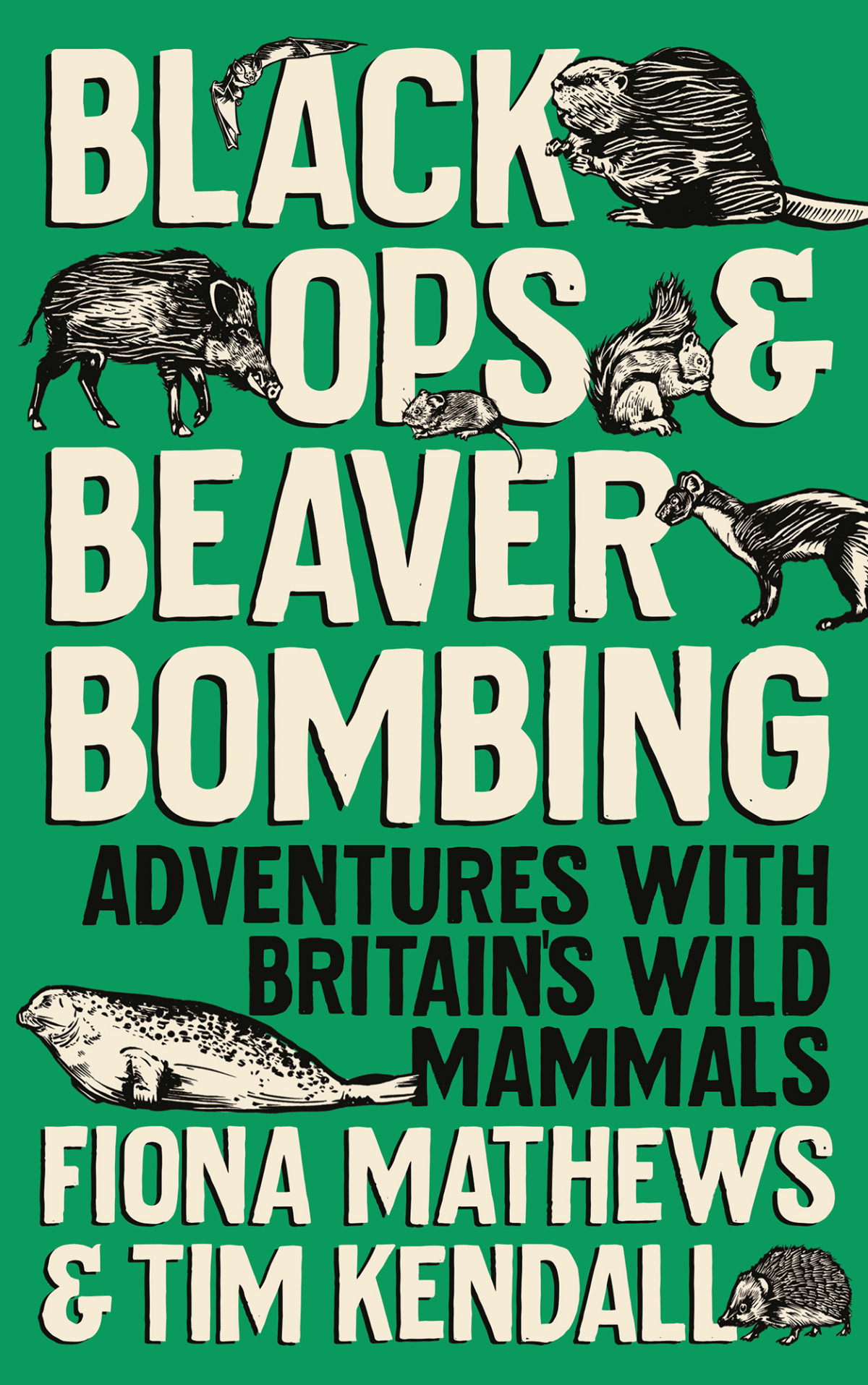 Black Ops And Beaver Bombing Fiona Mathews