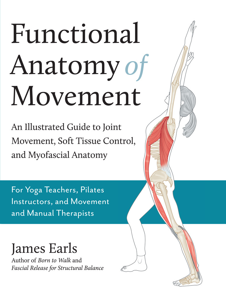 Functional Anatomy Of Movement An Illustrated Guide To Joint Movement Soft Tissue Control And Myofascial Anatomy James Earls