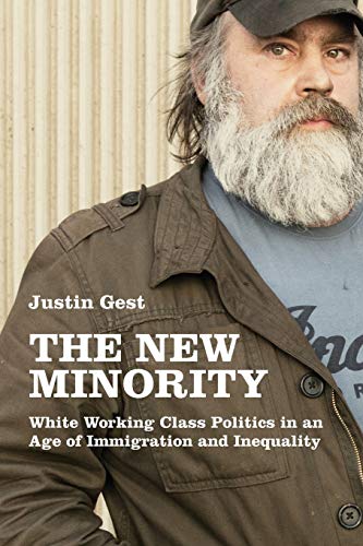The New Minority White Working Class Politics In An Age Of Immigration And Inequality 1st Edition Gest