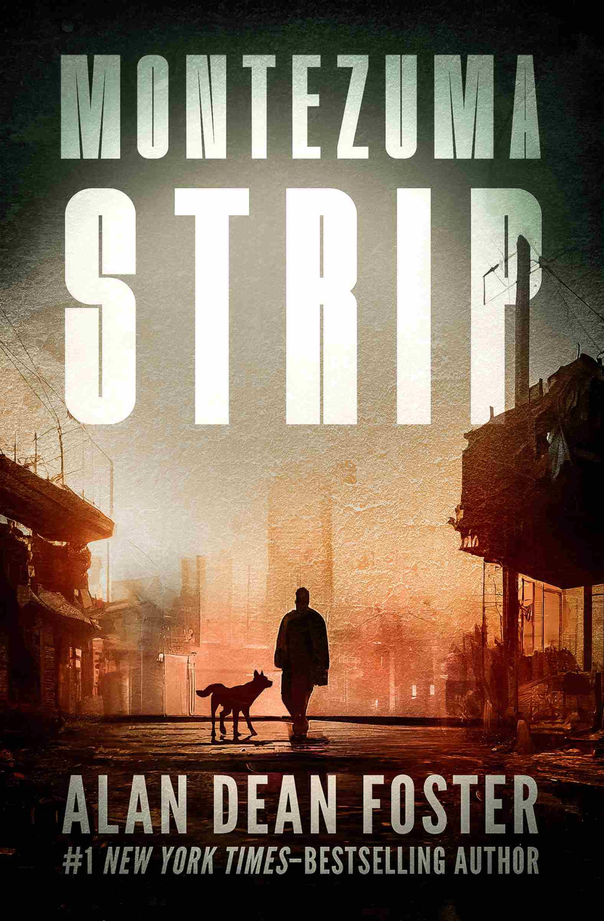 Montezuma Strip Alan Dean Foster