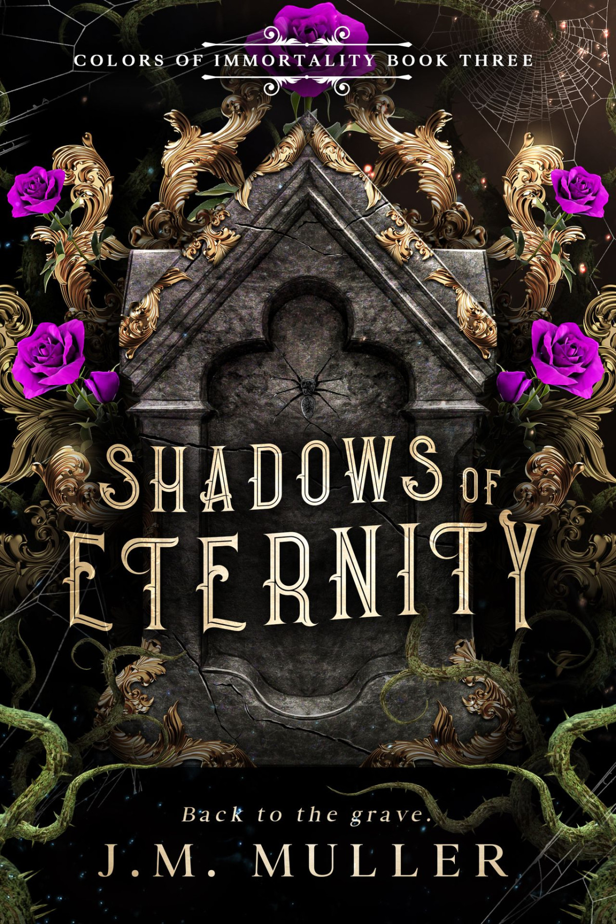 Shadows Of Eternity Muller Jm