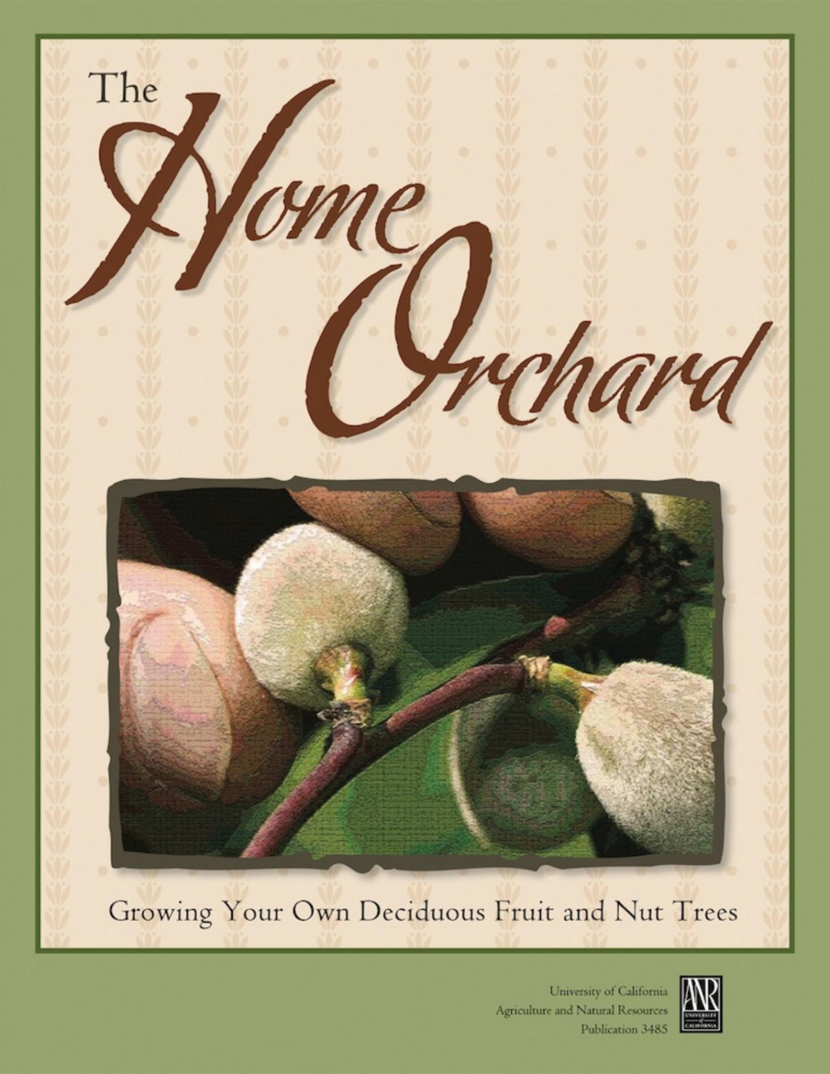 The Home Orchard Growing Your Own Deciduous Fruit And Nut Trees Maxwell Norton