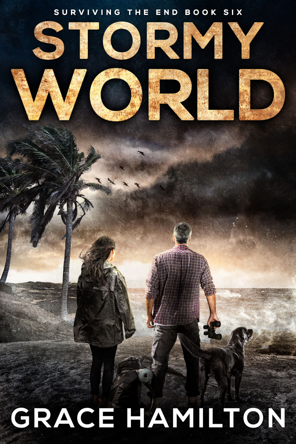 Stormy World Surviving The End 6 Grace Hamilton
