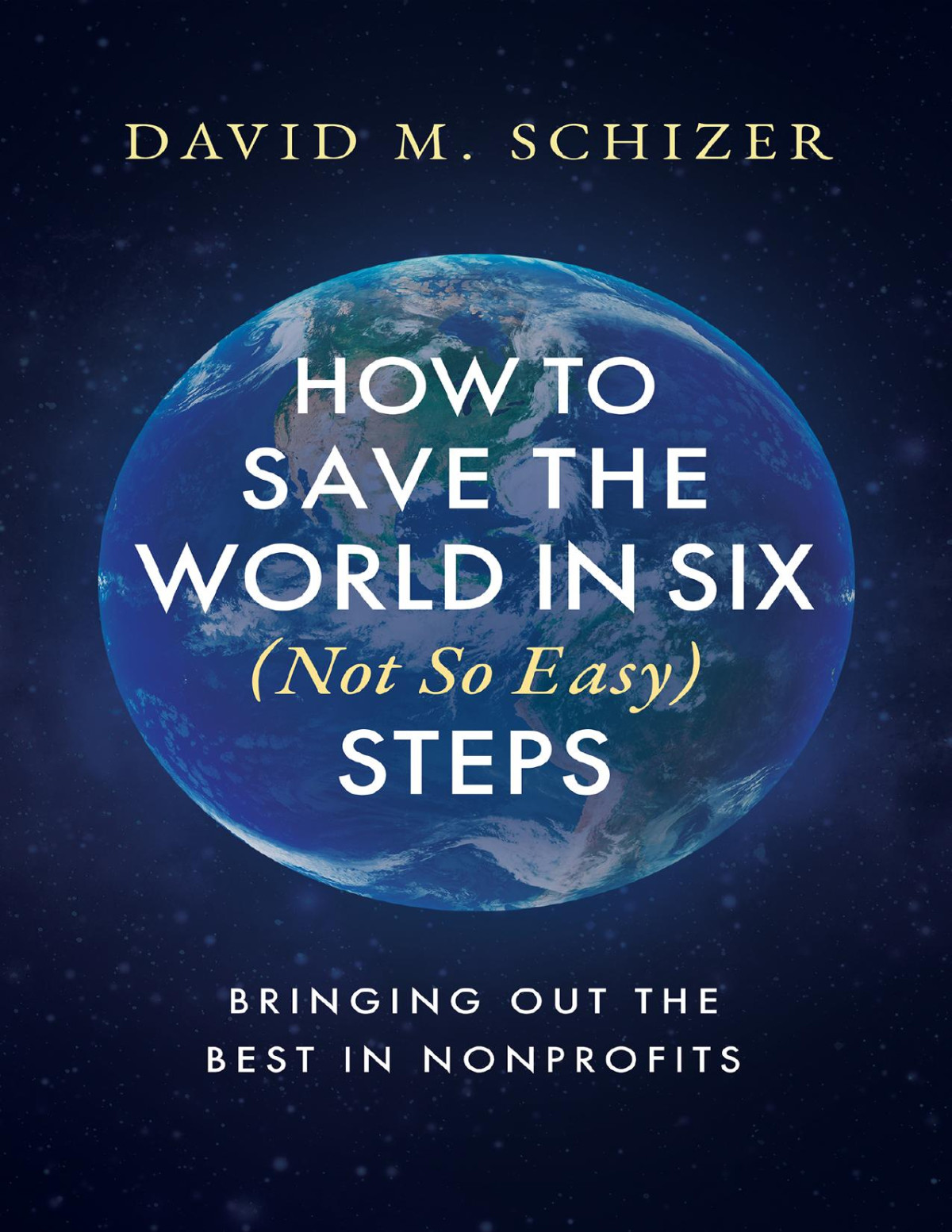 How To Save The World In Six Not So Easy Steps David M Schizer