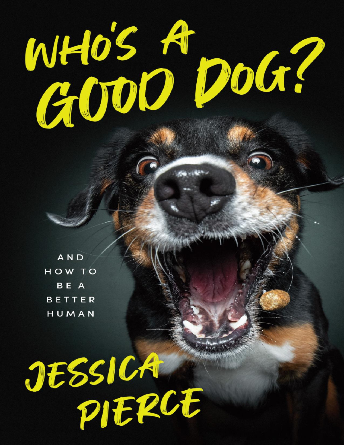 Whos A Good Dog And How To Be A Better Human Jessica Pierce