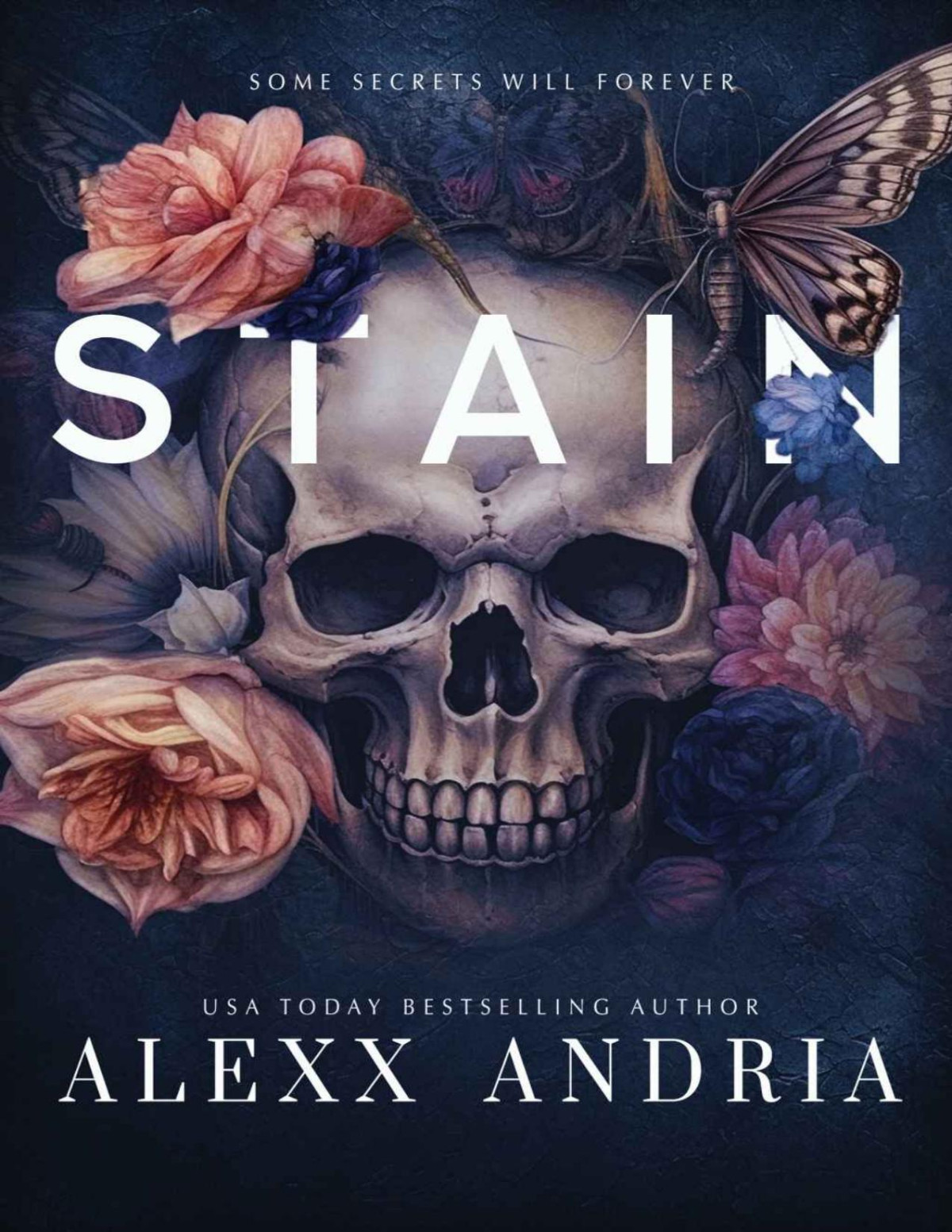 Stain Dark Gothic Romance Alexx Andria
