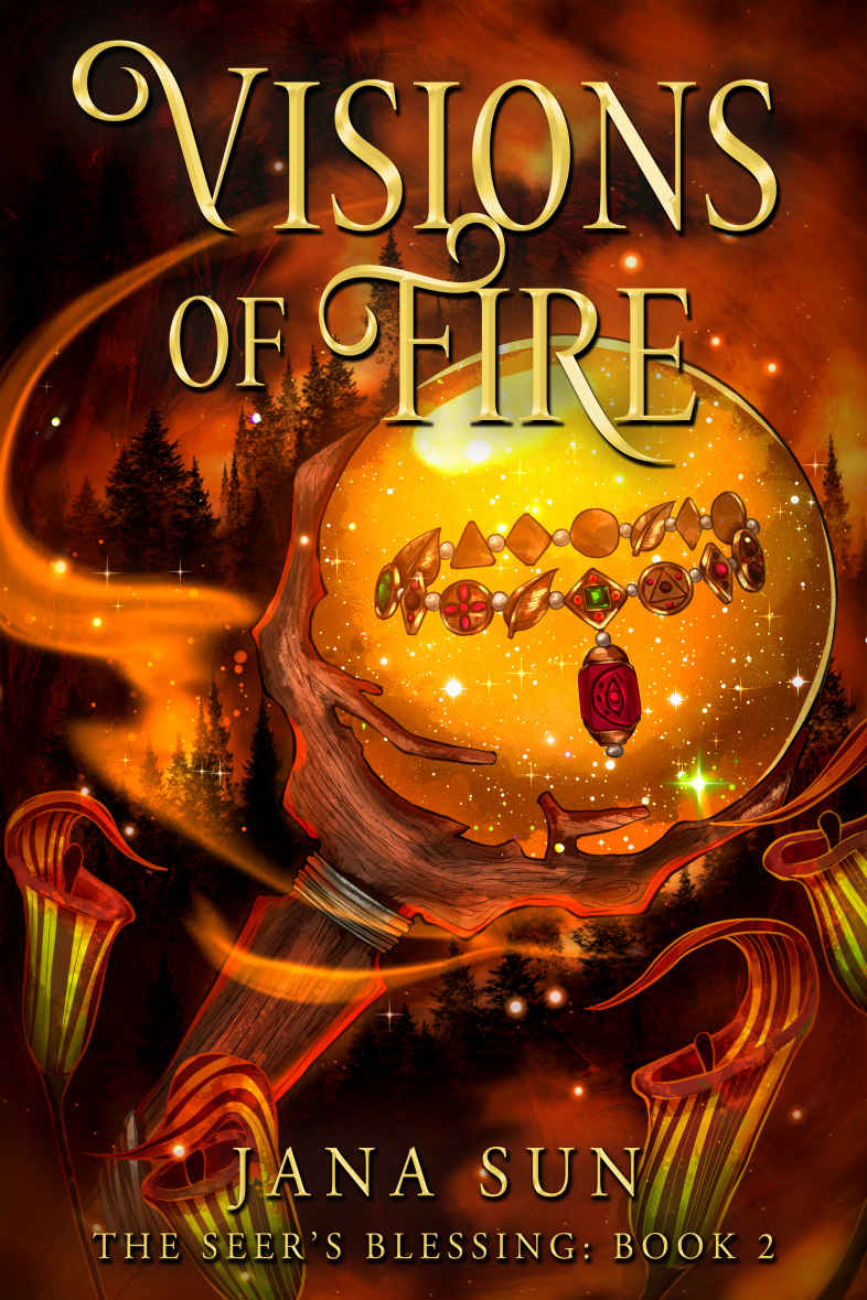 Visions Of Fire The Seers Blessing Book 2 Jana Sun