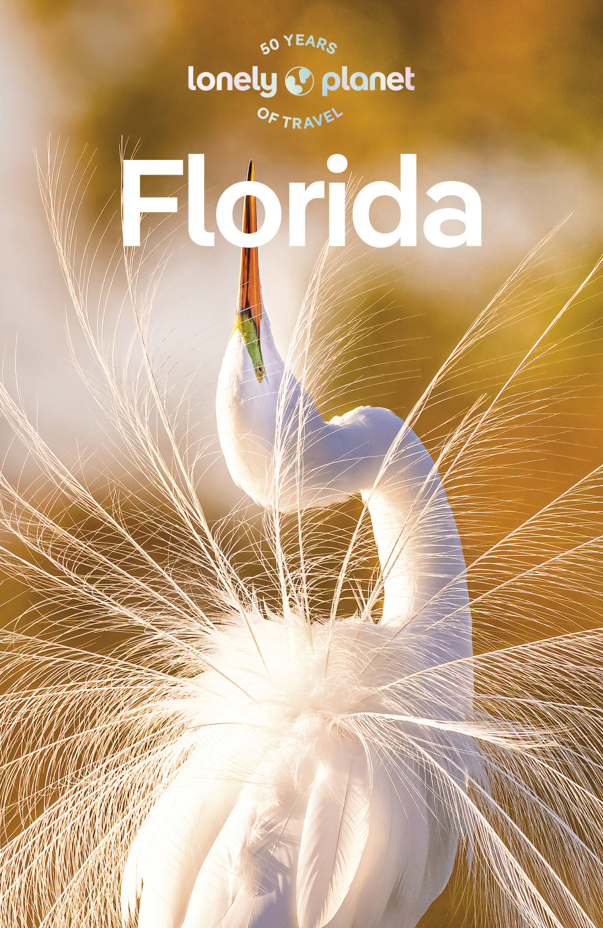 Lonely Planet Florida 10th Lonely Planet