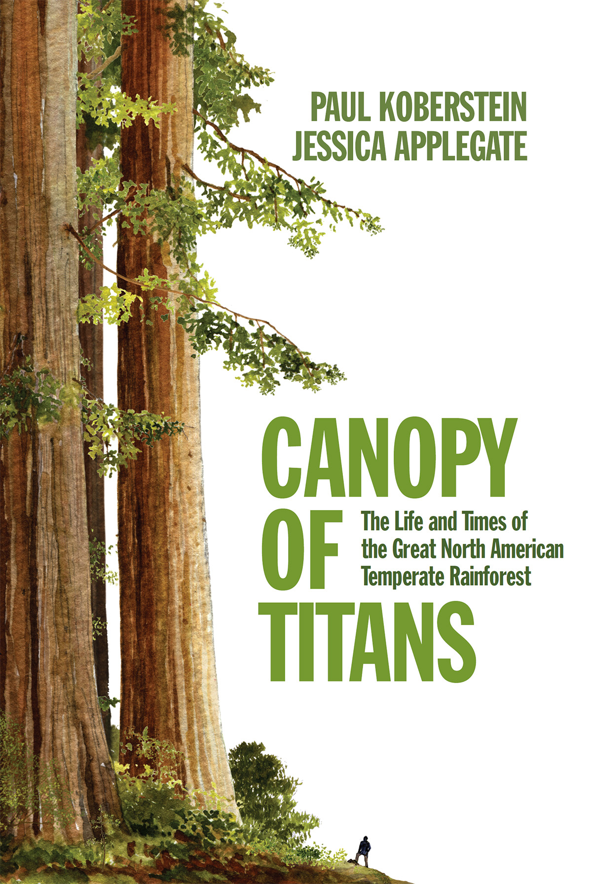 Canopy Of Titans Jessica Applegate