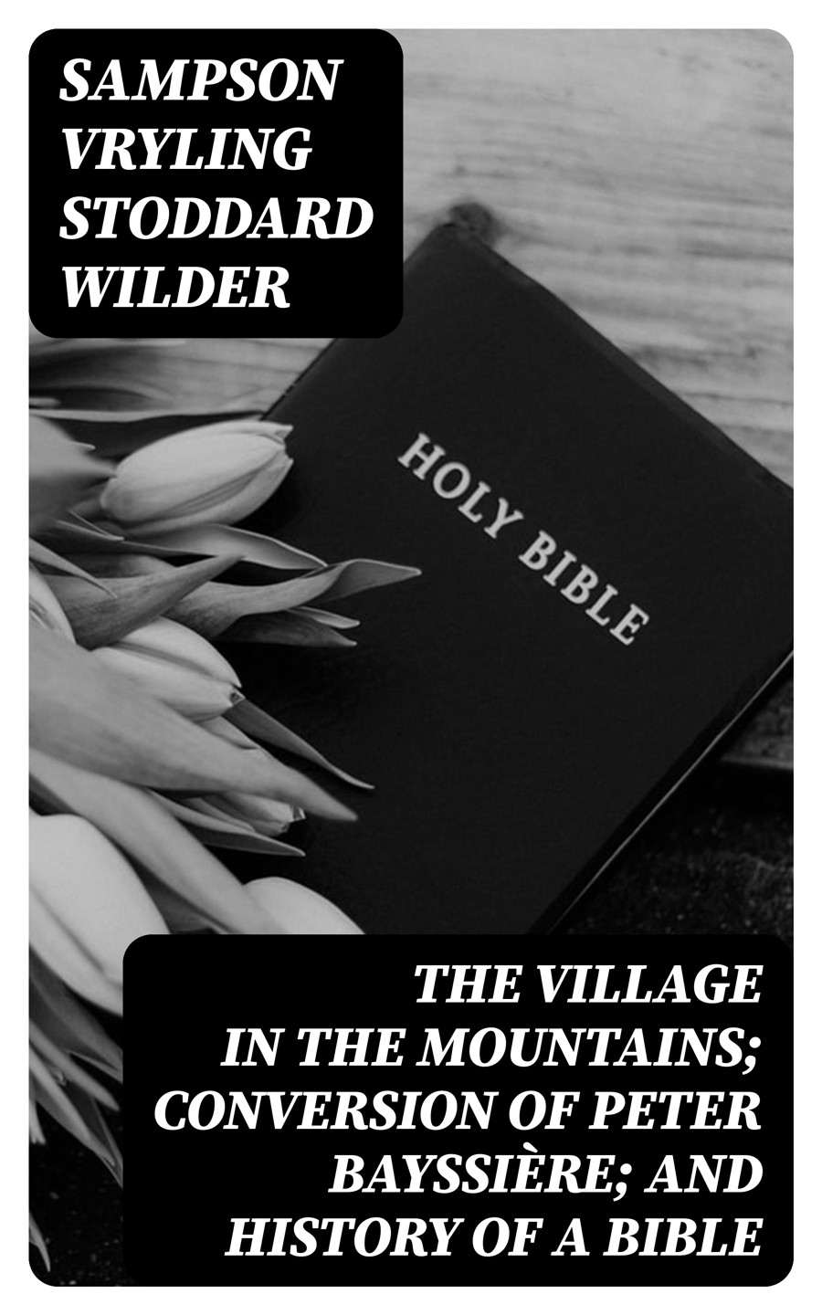 The Village In The Mountains Conversion Of Peter Bayssire And History Of A Bible Sampson Vryling Stoddard Wilder
