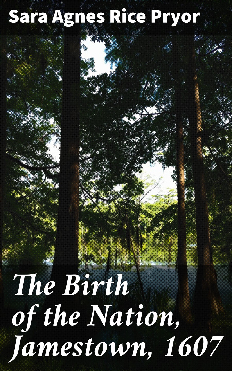 The Birth Of The Nation Jamestown 1607 Sara Agnes Rice Pryor