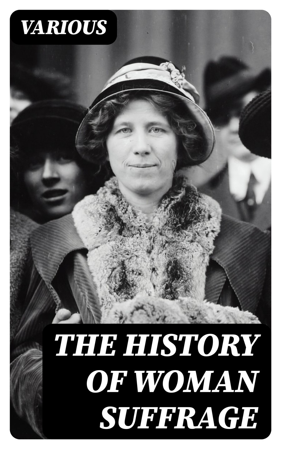 History Of Woman Suffrage Vol 16 Various