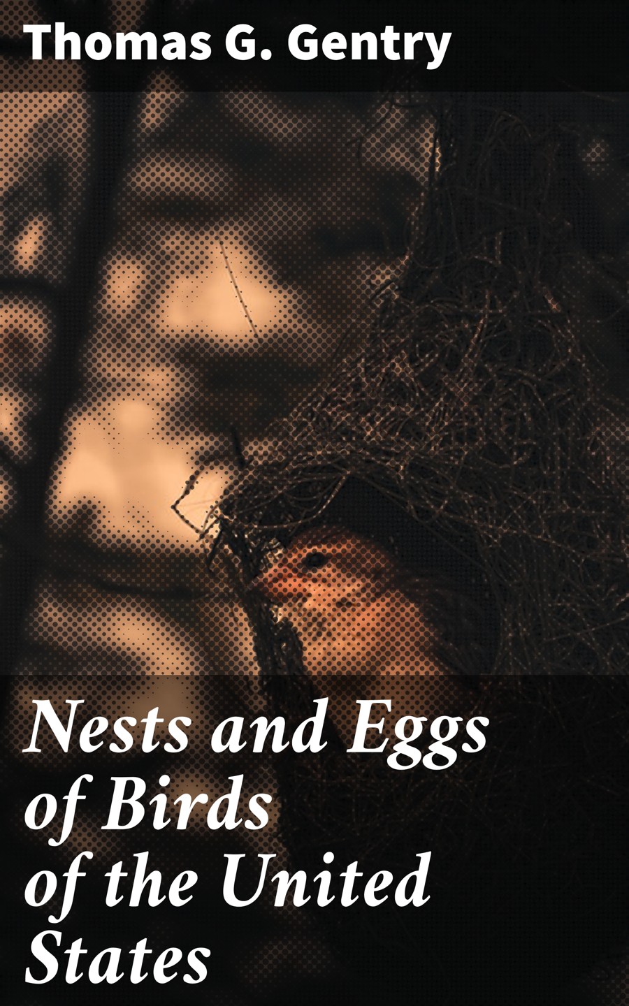 Nests And Eggs Of Birds Of The United States Thomas G Gentry