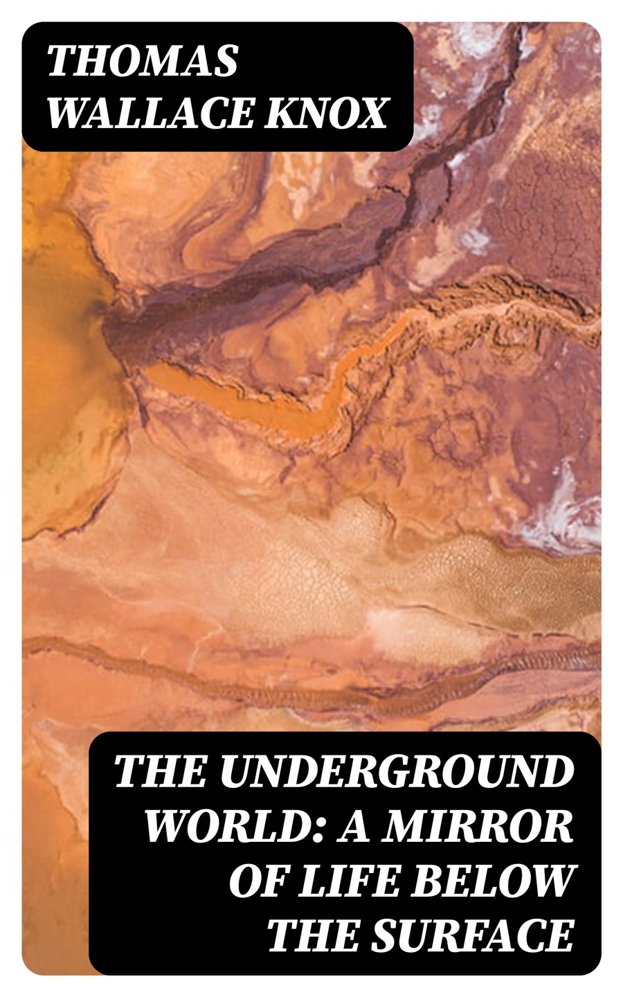 The Underground World A Mirror Of Life Below The Surface Thomas Wallace Knox