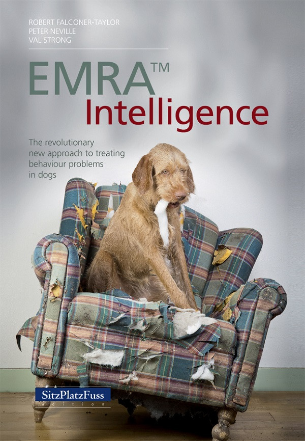 Emra Intelligence Robert Falconertaylor Peter Neville Val Strong